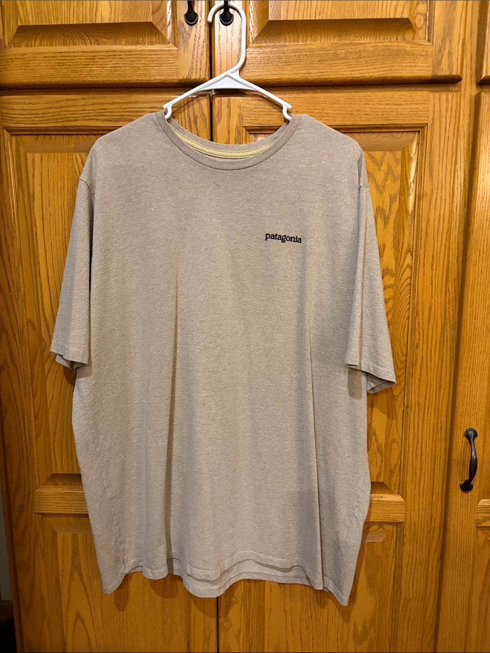 Patagonia Men's Crewneck Tee in Beige